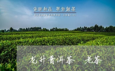 龙升普洱茶 老茶/2023031651614